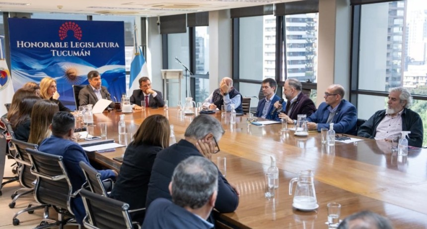 Cient&iacute;ficos tucumanos alertaron que el CONICET est&aacute; &ldquo;con respirador artificial&rdquo; ante la Legislatura provincial