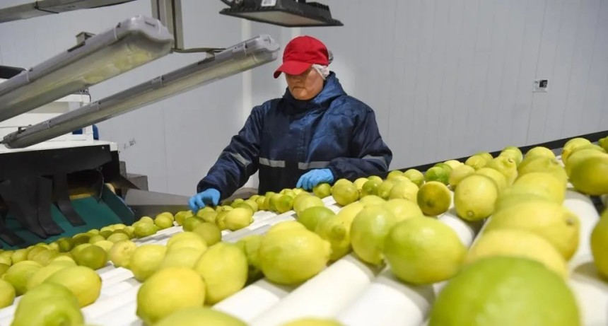 El empleo privado formal en Tucum&aacute;n creci&oacute; 0,1% en febrero, pero la provincia a&uacute;n no vuelve a los niveles de 2023