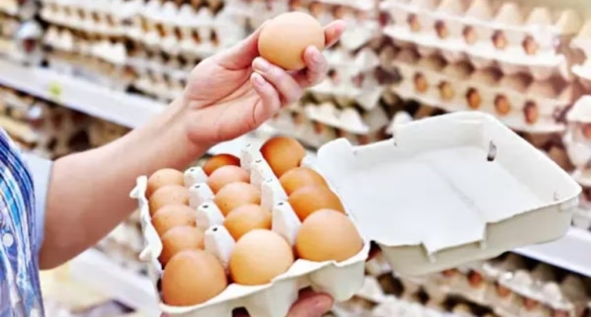 Exportaci&oacute;n r&eacute;cord de huevos: Argentina cubri&oacute; la cuota total hacia la Uni&oacute;n Europea bajo el acuerdo Mercosur-UE