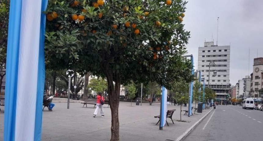 Tucum&aacute;n disfruta un feriado agradable: cielo parcialmente nublado y 18&deg; de m&aacute;xima