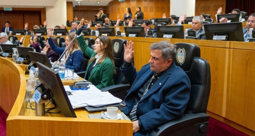 La Legislatura aprob&oacute; 14 pliegos judiciales, ratific&oacute; un DNU del ERSEPT y declar&oacute; monumento natural al tapir