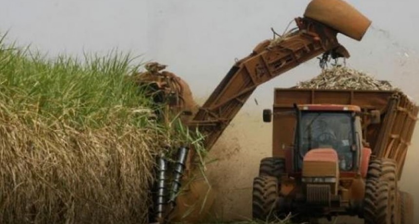 La zafra 2023 avanza con los primeros siete ingenios tucumanos que iniciaron molienda