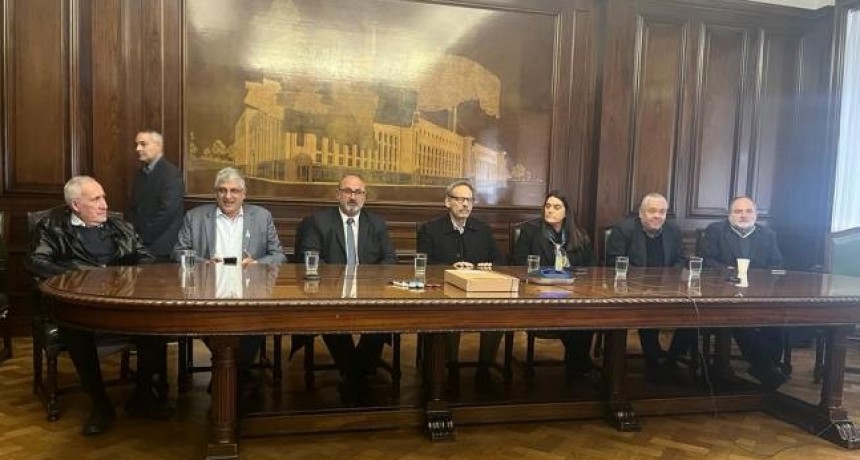 Licitaron la obra de ampliación de la planta transformadora de El Bracho