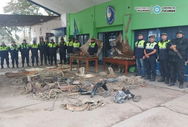Investigan una banda dedicada al robo de ganado en el Este tucumano