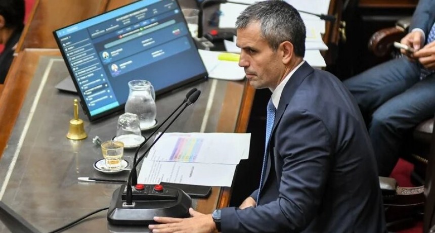 Menem justificó su decisión de dejar sin efecto la invitación a Pettovello para que expusiera en Diputados