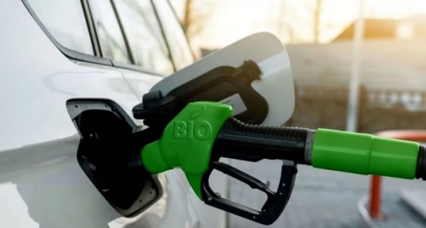 Biocombustibles: actualizan los precios y podría impactar en los surtidores