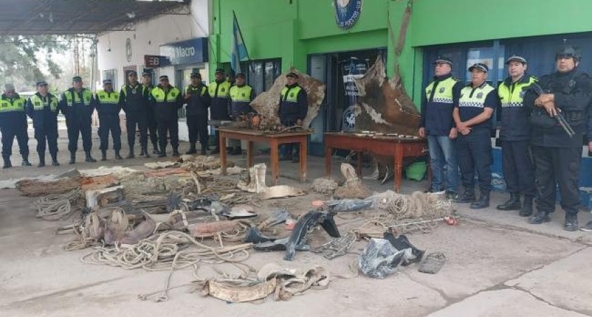 Investigan una banda dedicada al robo de ganado en el Este tucumano