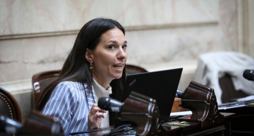 Omodeo a los gobernadores: “Si están pidiendo ganancias, empiecen bajando ingresos brutos”