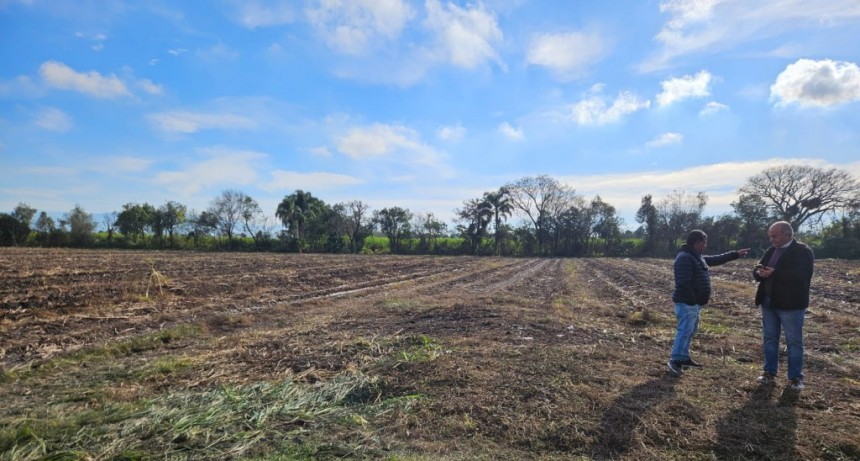 Bella Vista tendrá su planta de clasificación y reciclaje de residuos