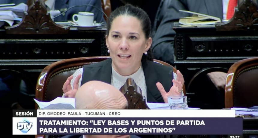 Omodeo defendió la Ley de Bases y fustigó a opositores