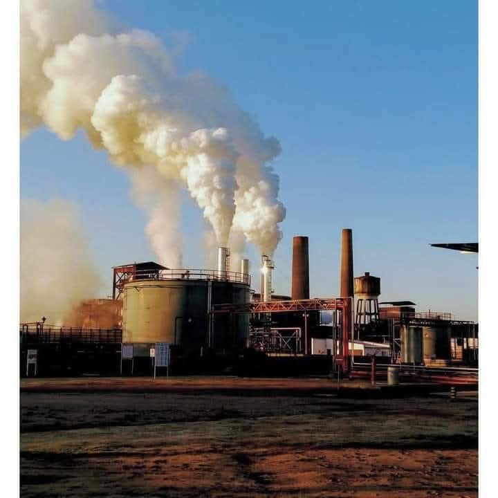 Se destrabó el conflicto en el Ingenio Bella Vista y la zafra comenzará en los próximos días