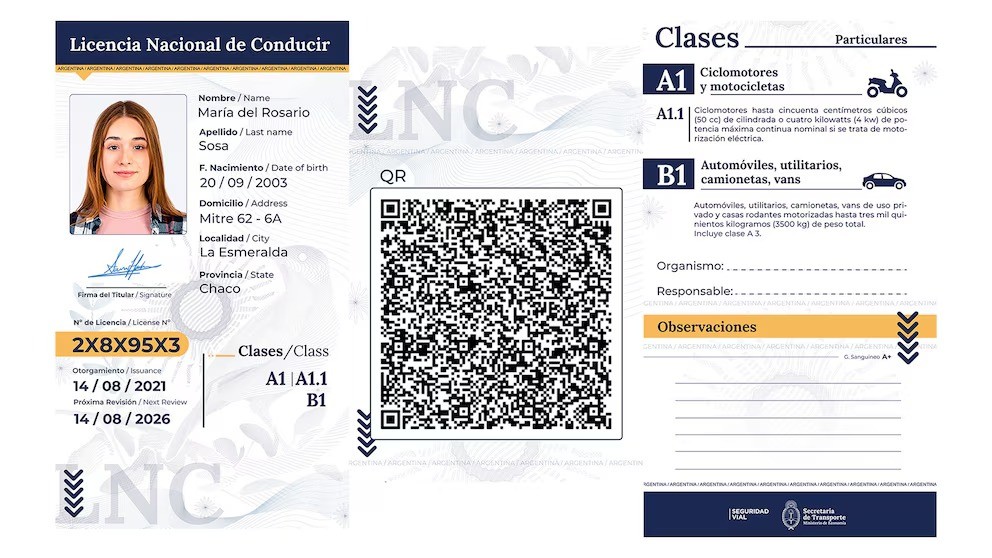 Licencia de conducir digital: ya funciona en 22 jurisdicciones