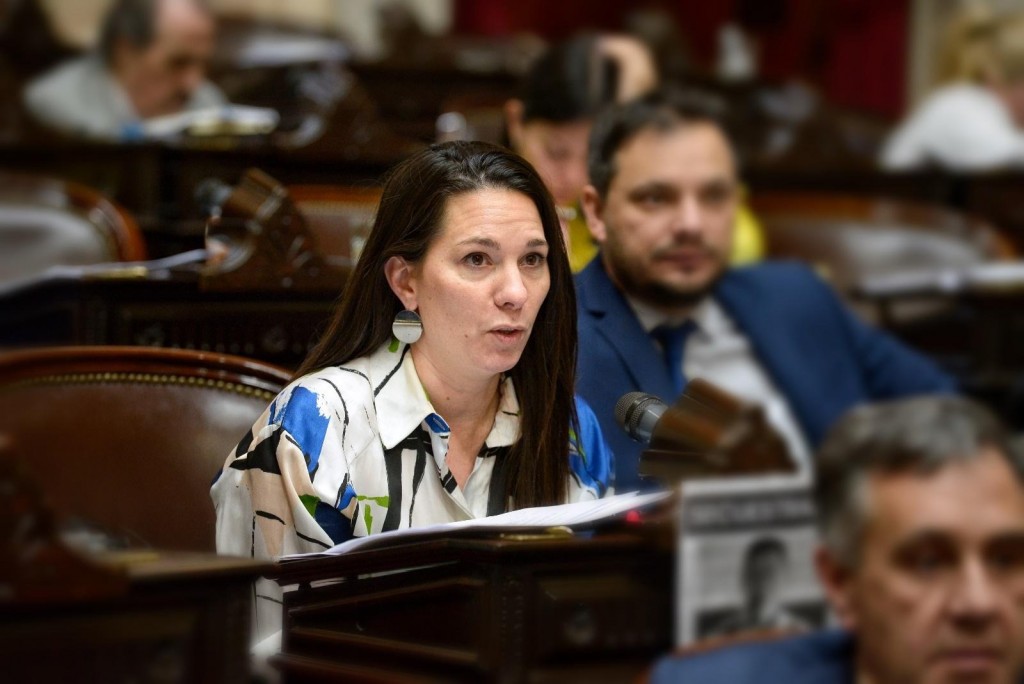 Omodeo: “Comenzó el despilfarro electoral del gobierno de Jaldo”