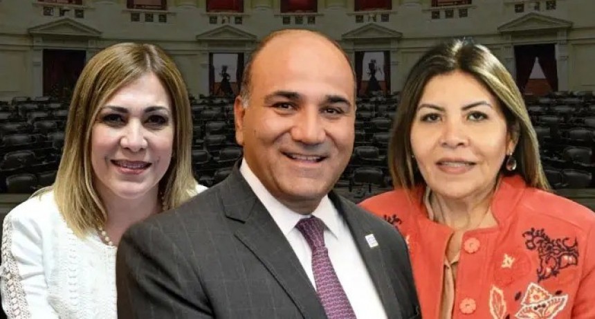 Senado bajo cero: Manzur, Mendoza y Ávila, con diferenciales negativos y sin apoyo ciudadano