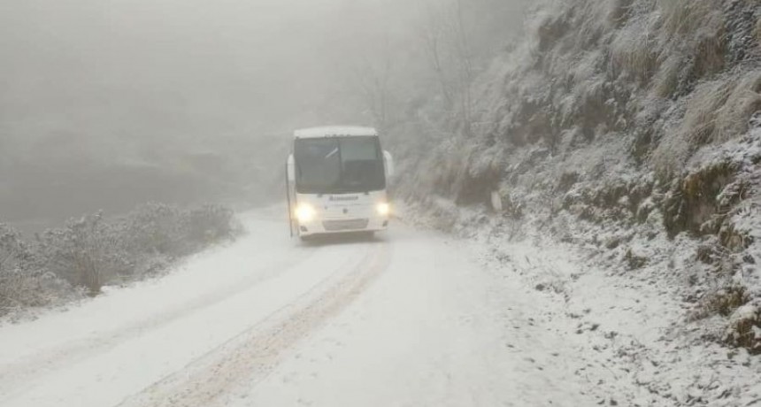 Ola polar en Tucumán: hasta -8° en las sierras esta semana
