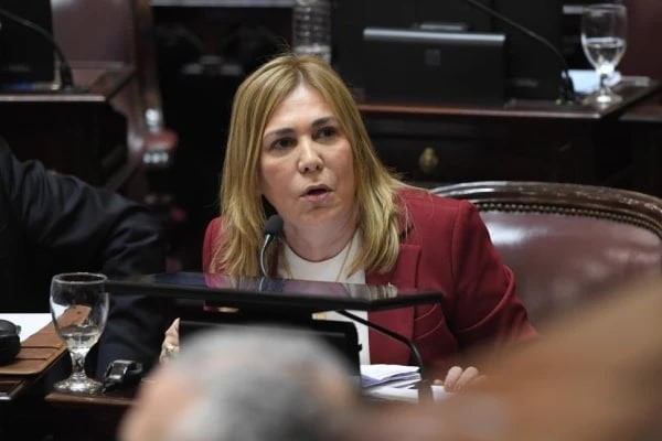El Senado aprob&oacute; dividir la C&aacute;mara Federal de Tucum&aacute;n para destrabar causas de narcotr&aacute;fico y litigios electorales