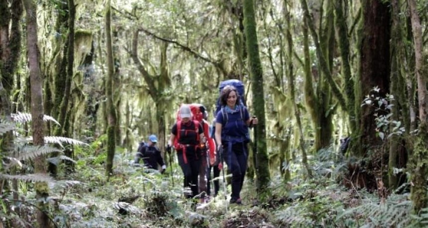 Tucum&aacute;n ofrece un fin de semana con m&aacute;s de 50 actividades gratuitas entre yungas, teatros y ferias gastron&oacute;micas