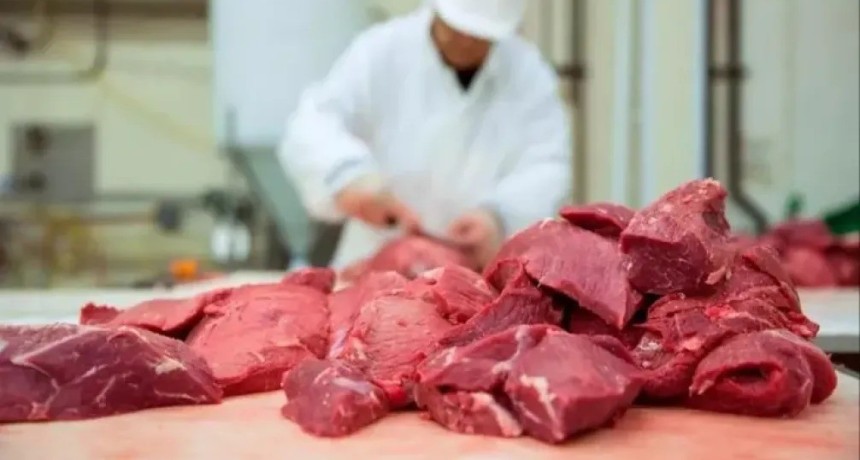 El consumo de carne vacuna en Argentina cay&oacute; a 47,5 kilos por persona anual, la cifra m&aacute;s baja en dos d&eacute;cadas