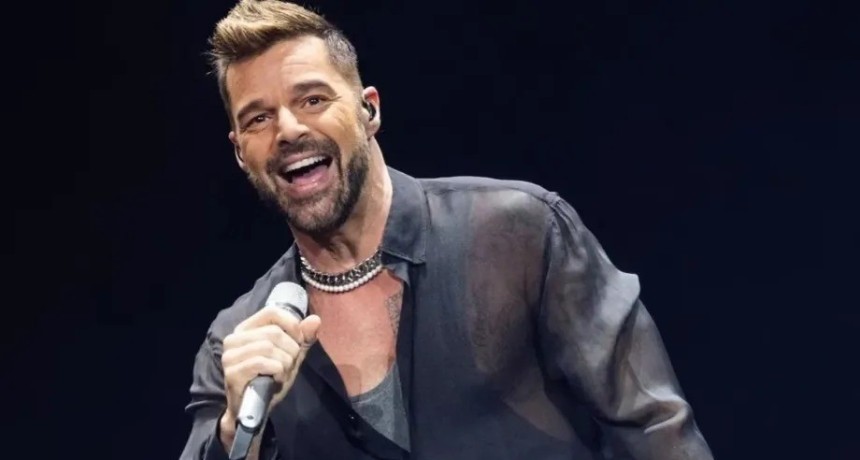 Gasoducto del Nordeste: investigan si un contratista pag&oacute; un show de Ricky Martin con fondos de la obra