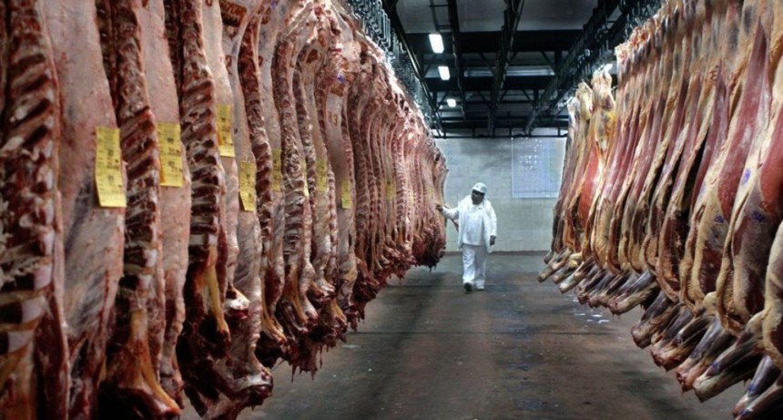 Las importaciones de carne marcaron un r&eacute;cord en mayo y reflejan el cambio en el consumo de los argentinos