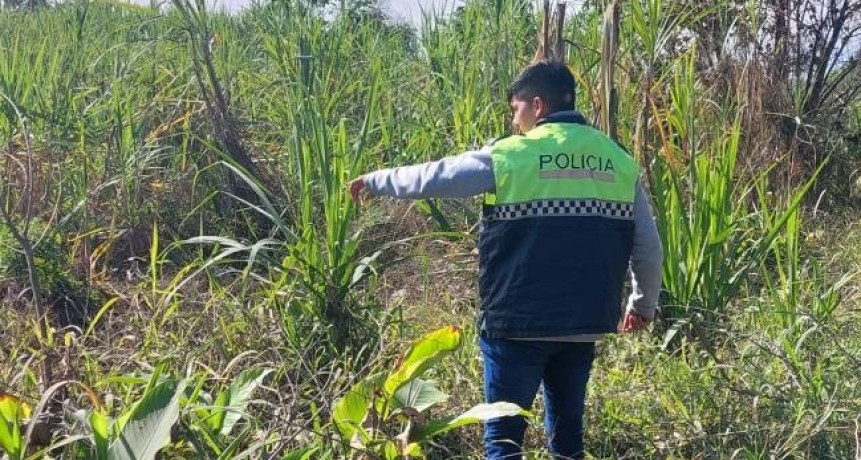 Concepción: Recuperan dos motocicletas que habían sido robadas