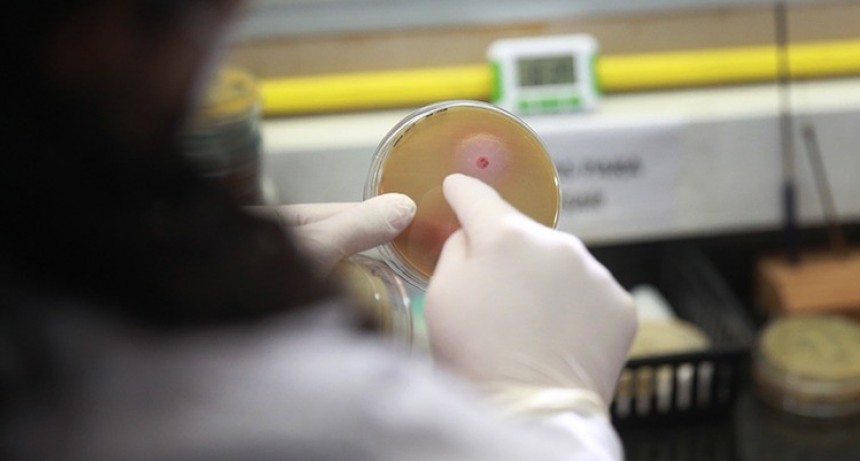 Se reglamentó la ley de Prevención y Control de la Resistencia Antimicrobiana