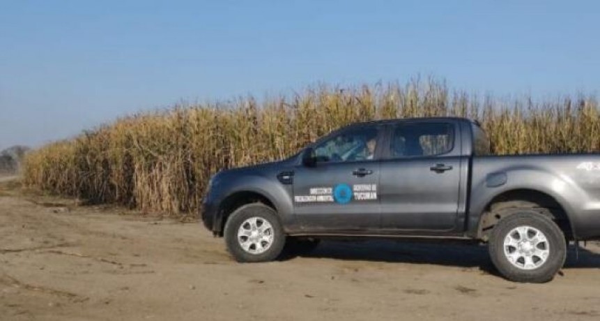 Fortalecen los controles en campos tucumanos por quema de caña
