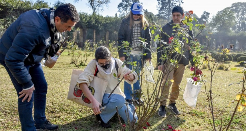 Por primera vez, la Municipalidad regaló a vecinos esquejes del Rosedal
