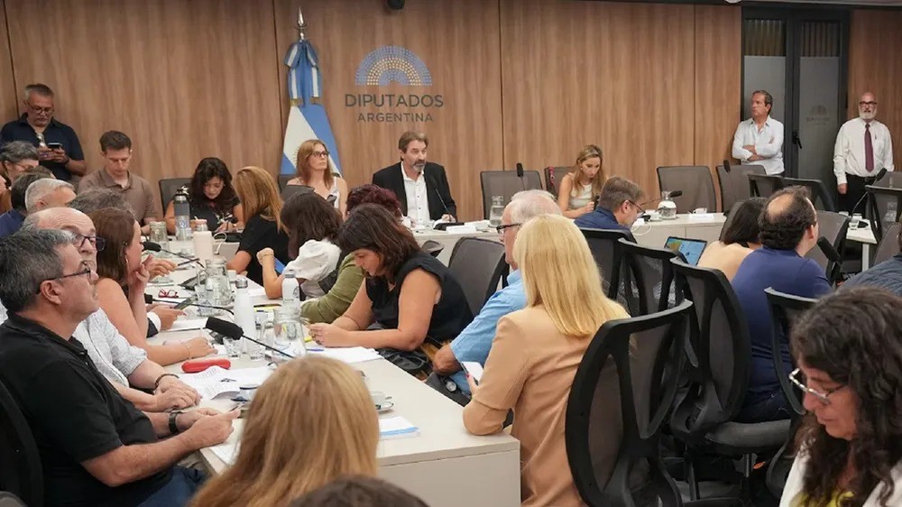 Comisión investigadora por $LIBRA: la oposición presiona por avances