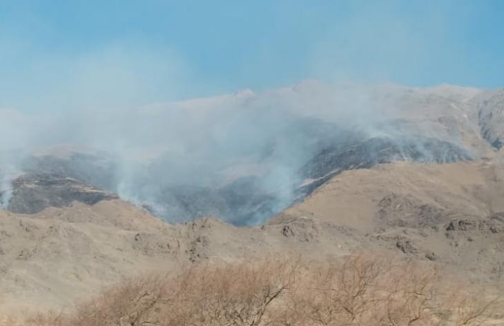Incendio en el cerro Muñoz: Brigadistas luchan contra el fuego con viento zonda