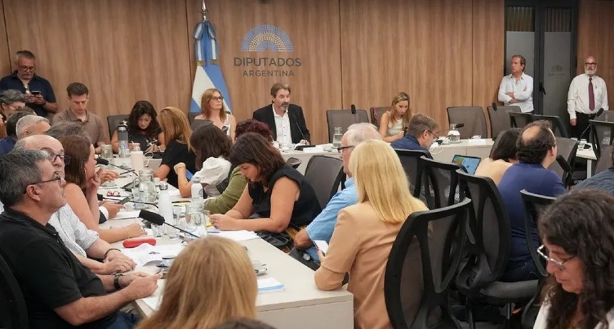 Comisión investigadora por $LIBRA: la oposición presiona por avances