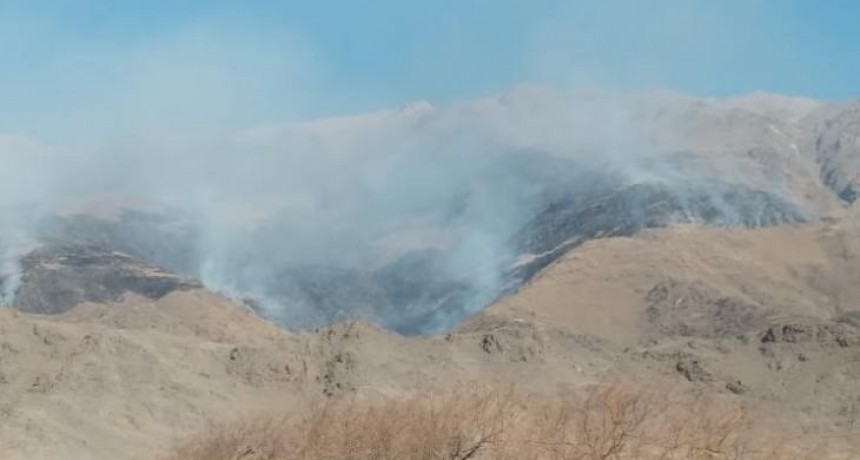 Incendio en el cerro Muñoz: Brigadistas luchan contra el fuego con viento zonda