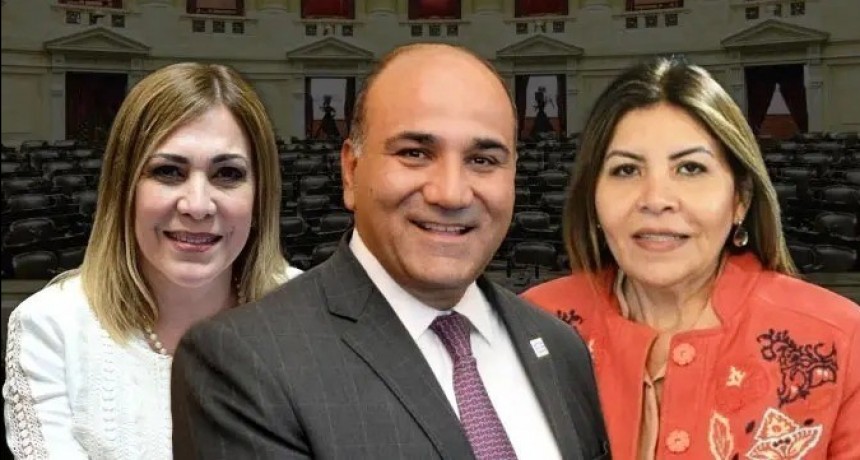 Ávila, Mendoza y Manzur entre los senadores peor valorados del país