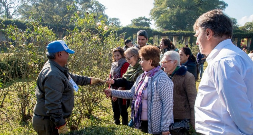 Vecinos llevan un pedazo del Rosedal a sus casas