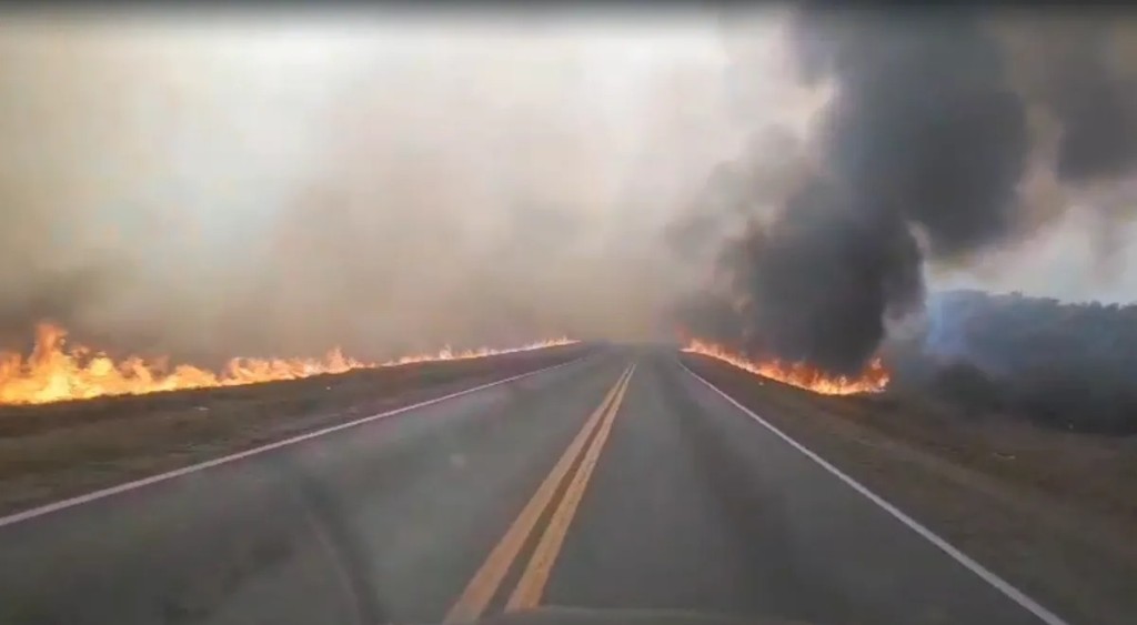 Incendio de pastizales y ca&iacute;da de &aacute;rboles complican la circulaci&oacute;n en el norte de Tucum&aacute;n por el viento Zonda