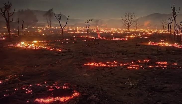 Los incendios forestales ya consumieron cerca de 8.000 hect&aacute;reas en Salta y dejaron una v&iacute;ctima fatal