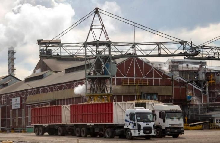La zafra avanza con el 30% de la molienda y estiman que podr&iacute;a extenderse hasta diciembre
