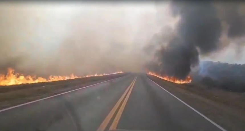 Incendio de pastizales y ca&iacute;da de &aacute;rboles complican la circulaci&oacute;n en el norte de Tucum&aacute;n por el viento Zonda