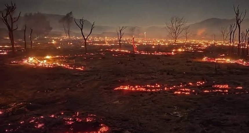 Los incendios forestales ya consumieron cerca de 8.000 hect&aacute;reas en Salta y dejaron una v&iacute;ctima fatal
