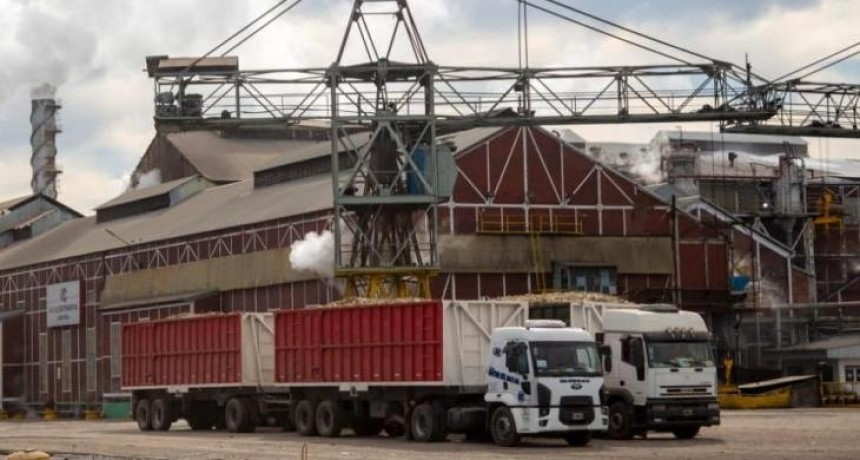La zafra avanza con el 30% de la molienda y estiman que podr&iacute;a extenderse hasta diciembre