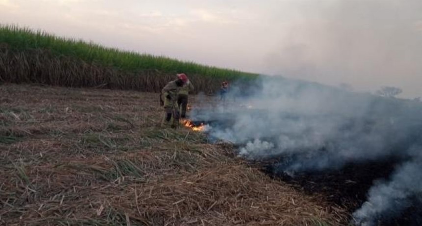 Bomberos de la Policía intervienen en principios de incendios y en quema de cañaverales