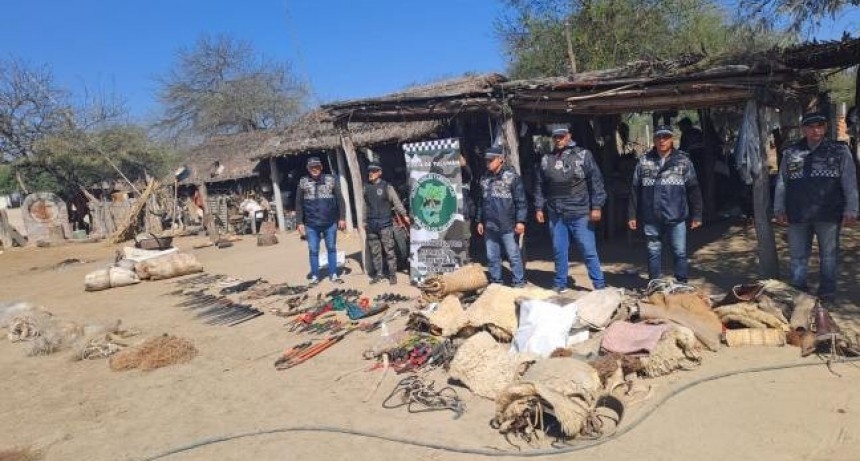 Aprehenden a una mujer y secuestran armas y elementos por abigeato