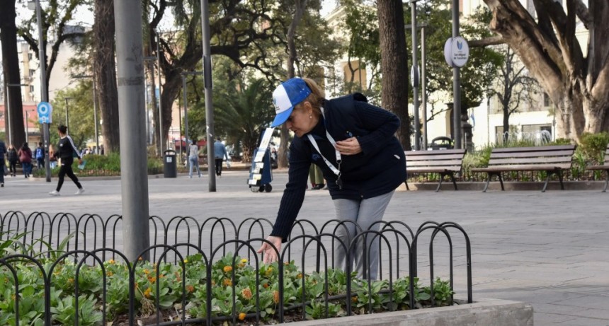 La Plaza Independencia tiene tres flamantes placeros