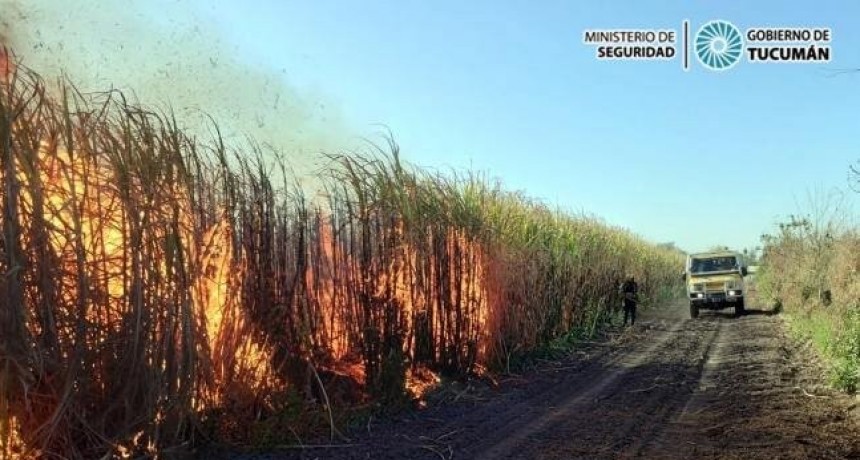 Defensa Civil intensifica sus trabajos para prevenir focos de incendio