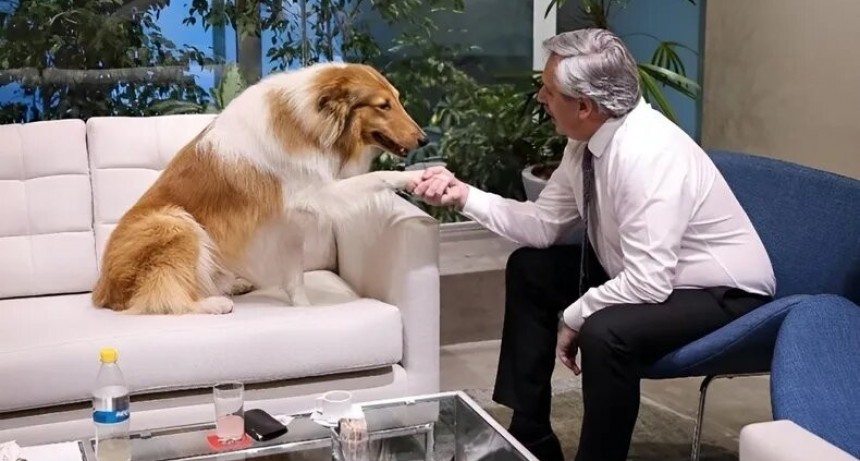 Milei le ofreció a Alberto Fernández adoptar a su perro Dylan