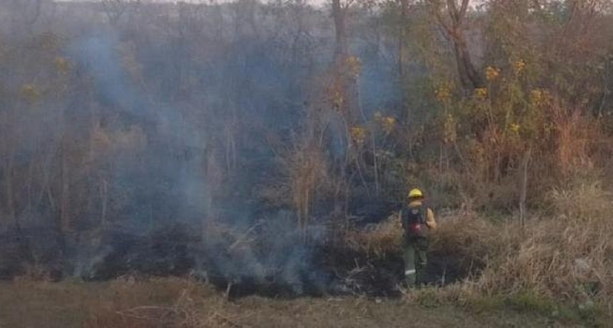 Sofocaron un incendio en cercanías al Aeropuerto Benjamín Matienzo