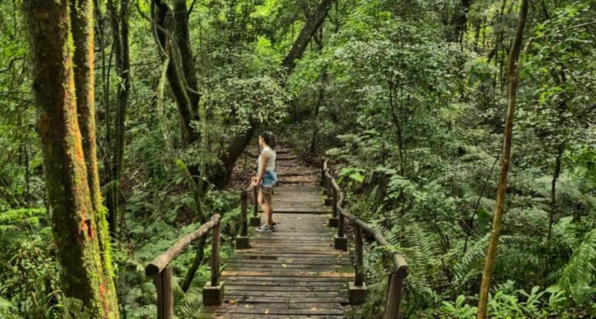 Tucumán impulsa la declaración de las yungas como patrimonio natural de la humanidad