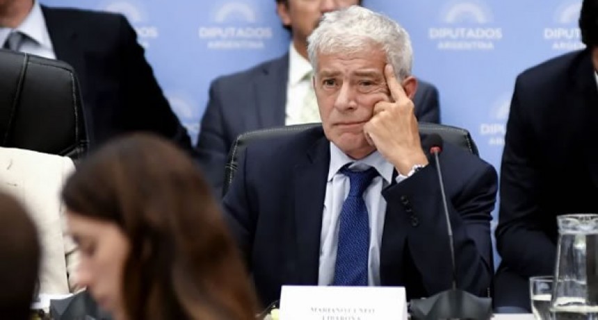 Cúneo Libarona responderá en Diputados sobre políticas de género del Gobierno