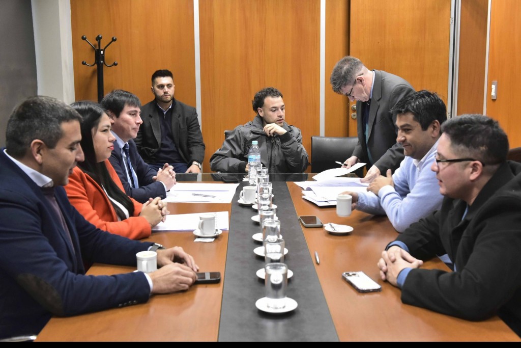 Legislatura: impulsan un programa 