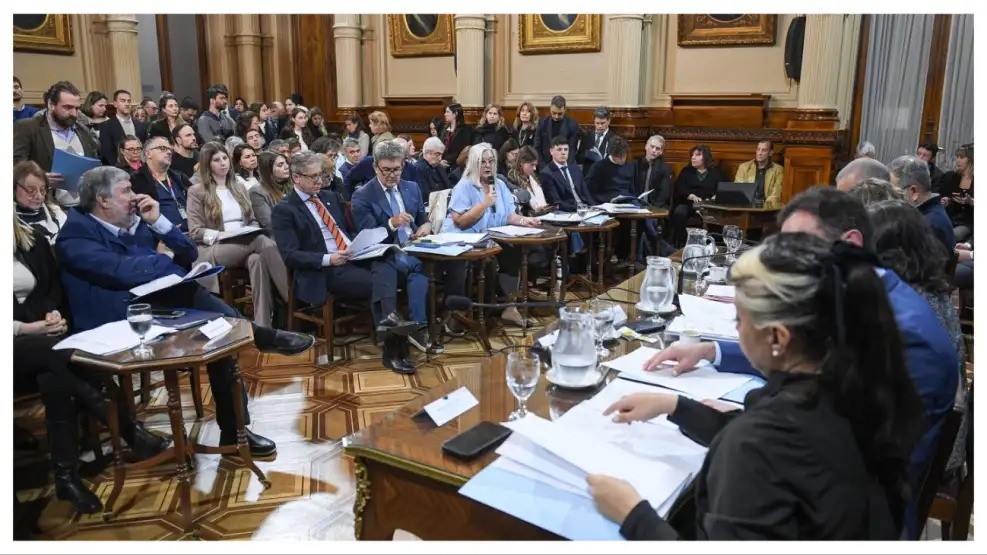 El Senado avanzó con emergencia en pediatría